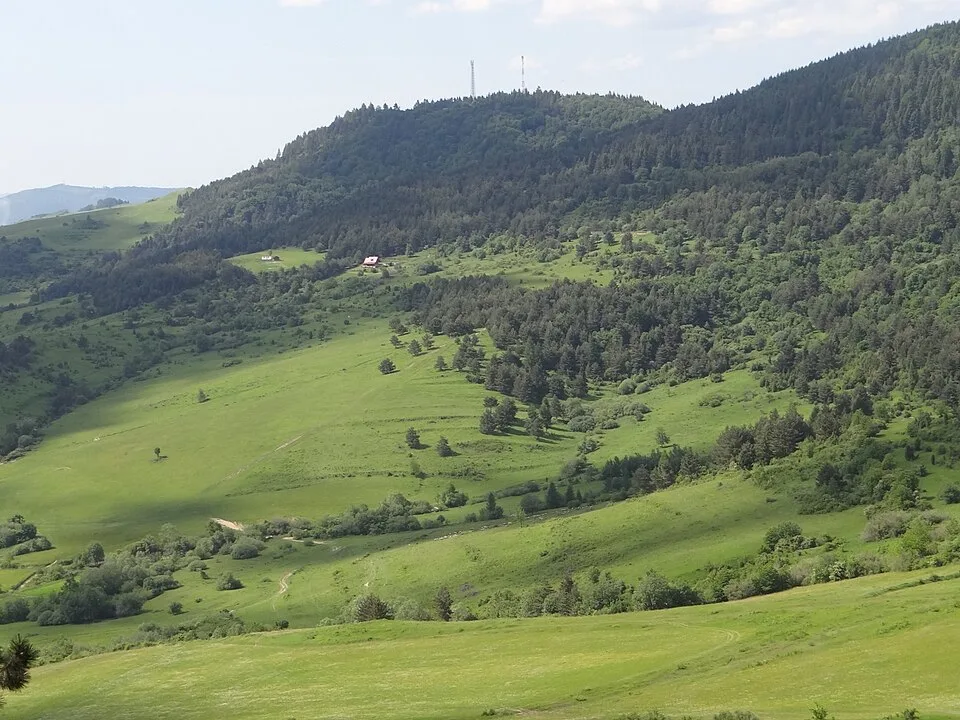 Lysá