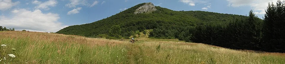 Temešská skala