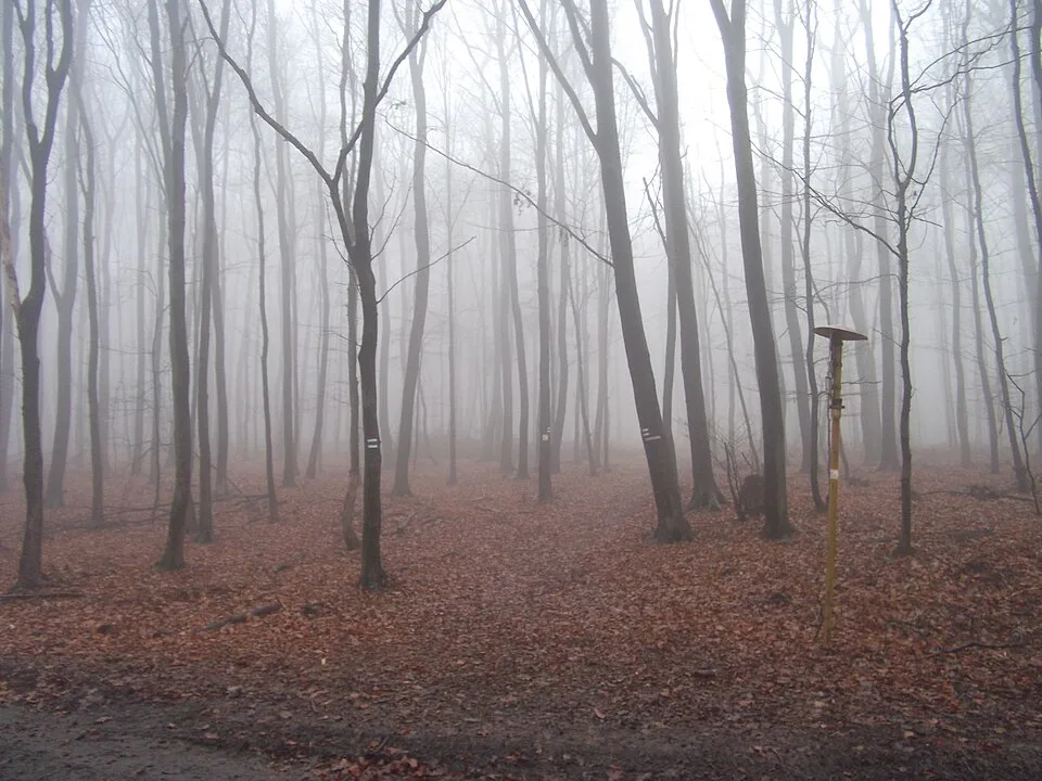 Malinský vrch