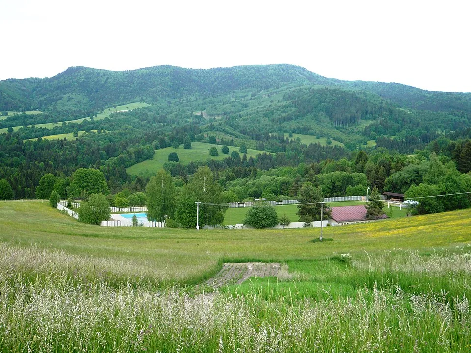 Vepor