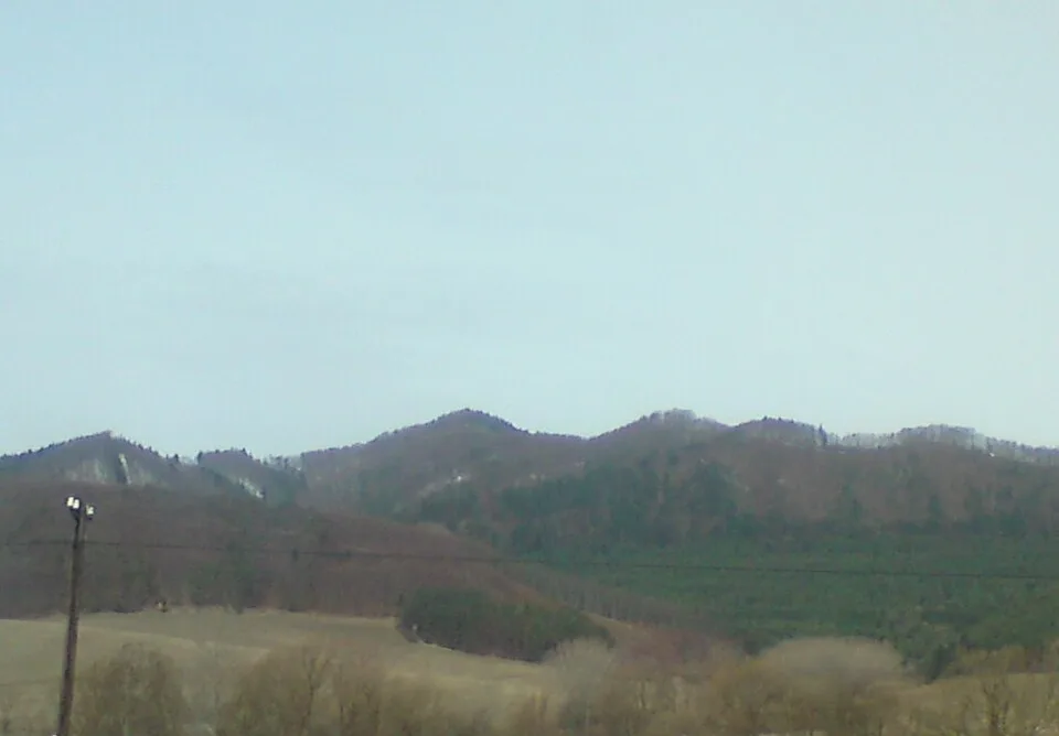 Žibrid