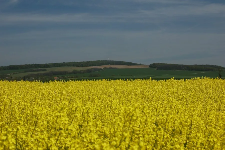 Zámčisko