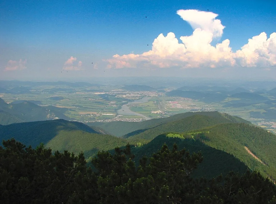 Jedľovina