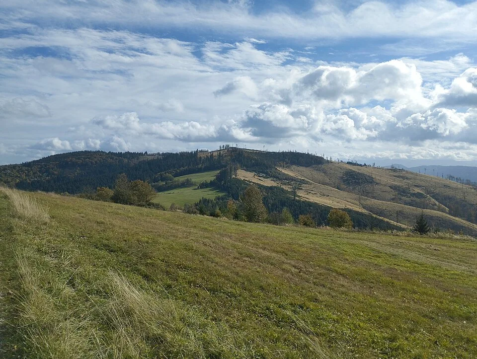 Chotárny kopec