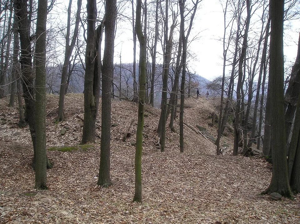 Najštejn
