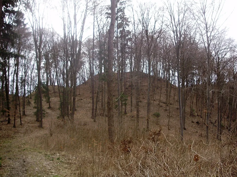 Stagnov