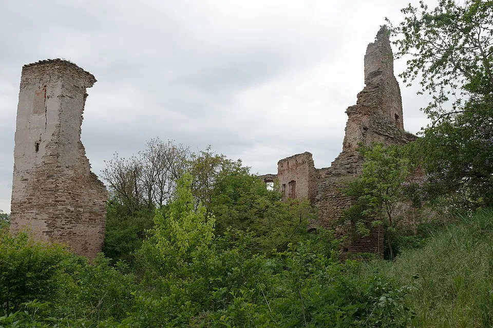 Žerotice