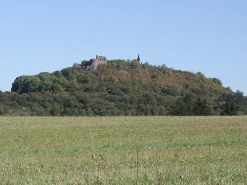 Švamberk
