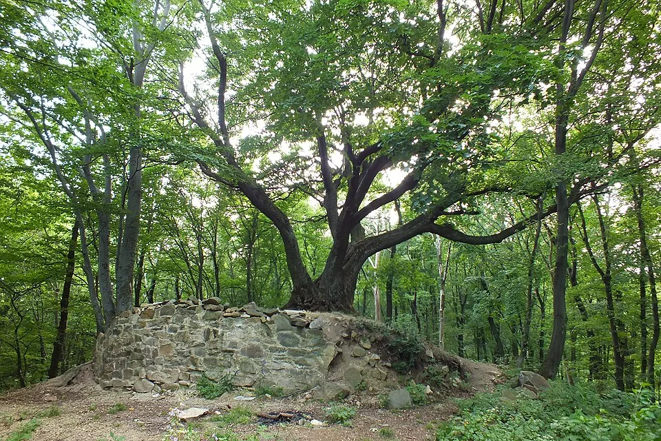 Zuvačov