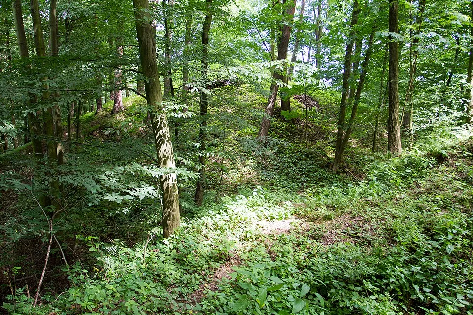 Čejchanov