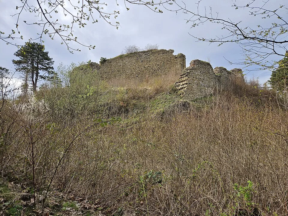 Burg Cvilín