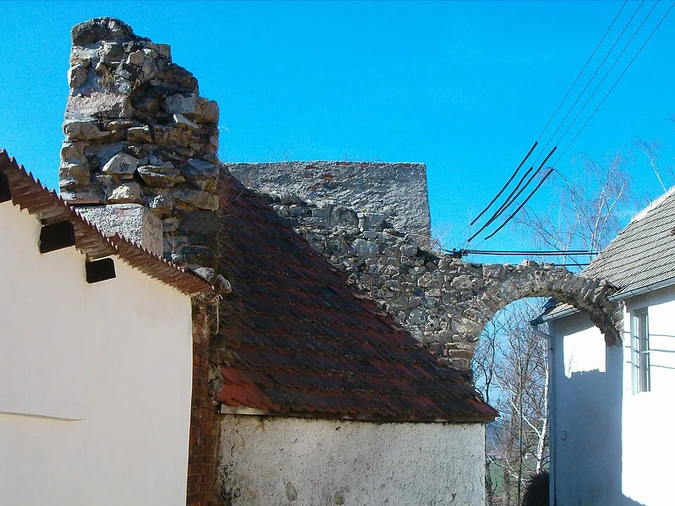 Myšenec