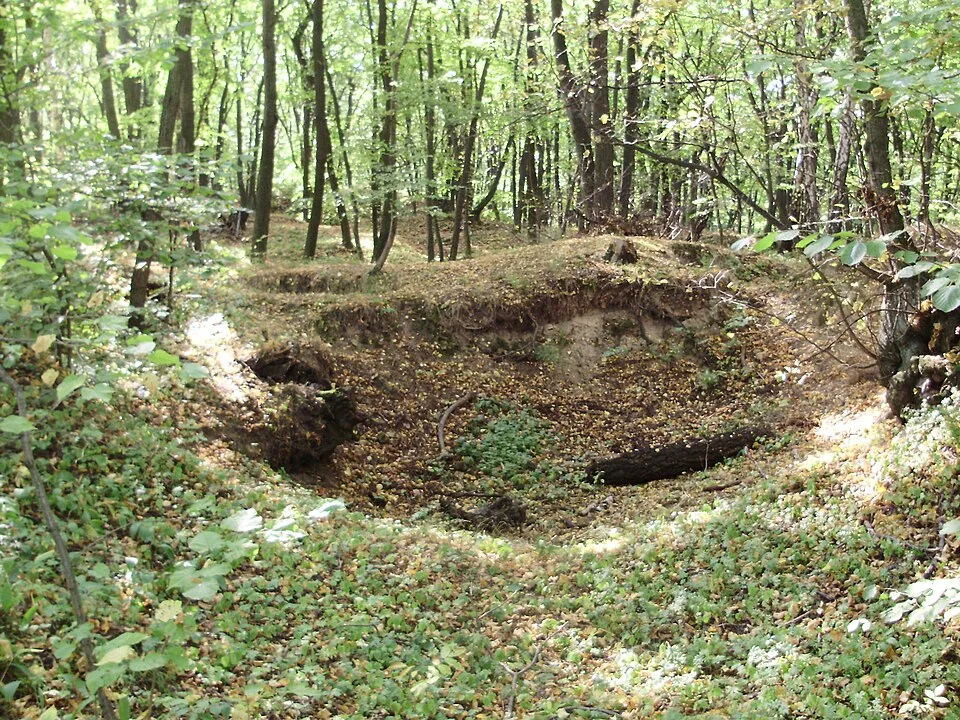 Orlovice