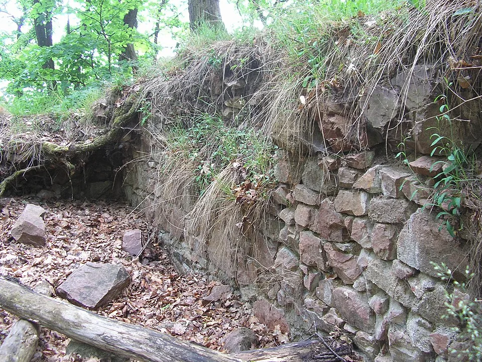 Obřany