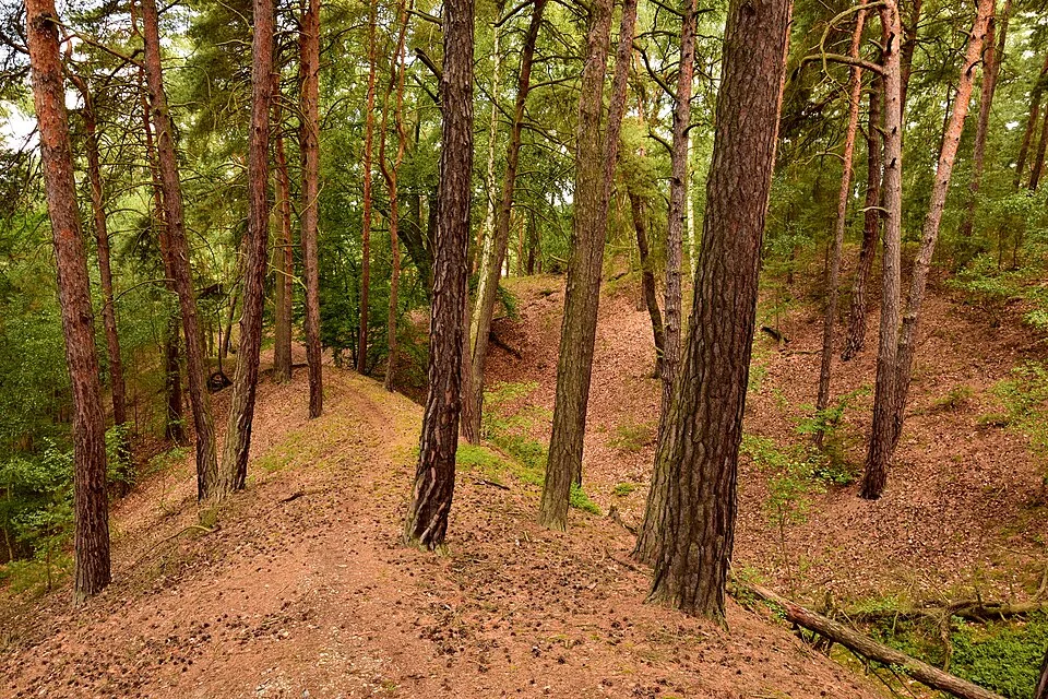 Hlavačov