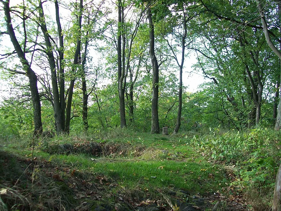 Řebřík