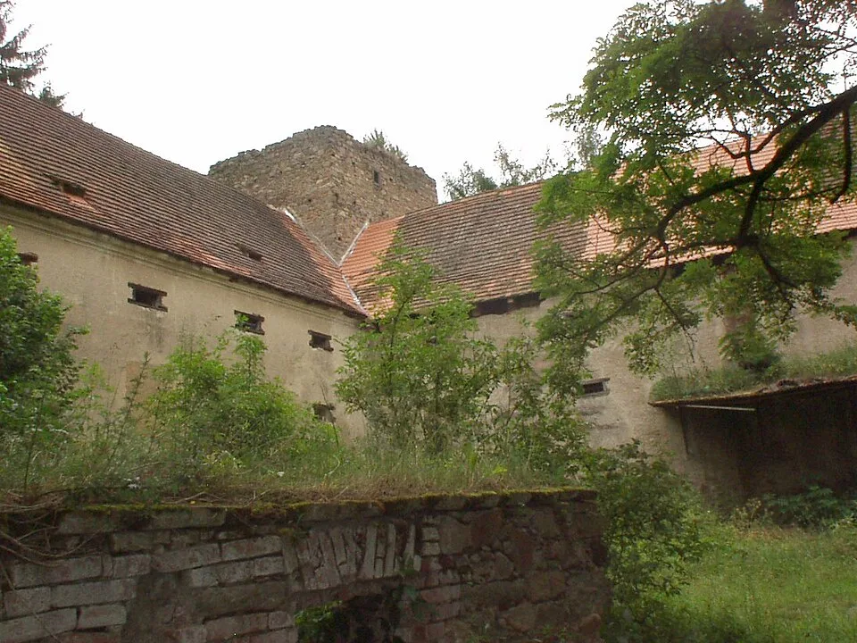 Buzice