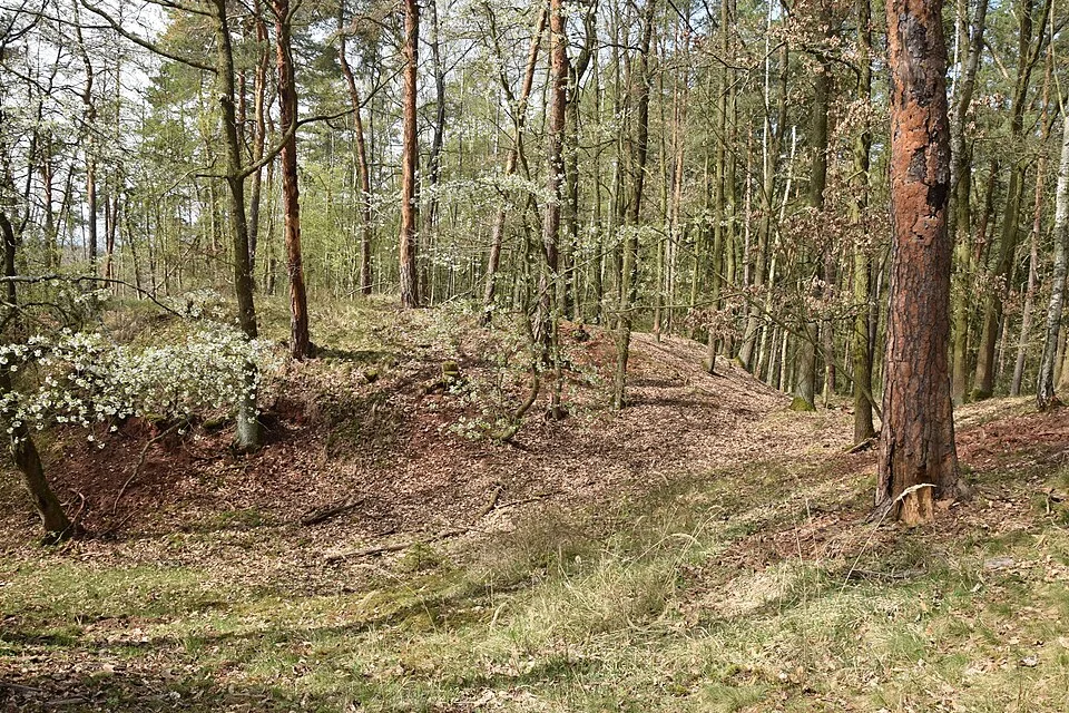 Hrádek u Vrbice