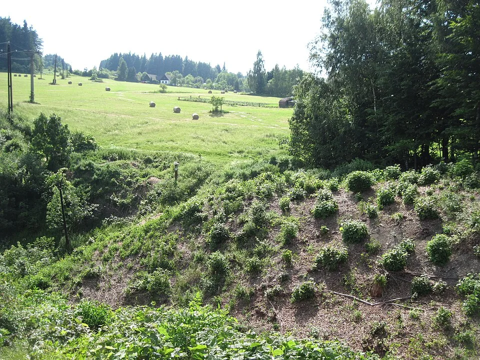 Boršov