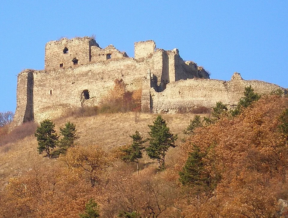 Kapušanský hrad