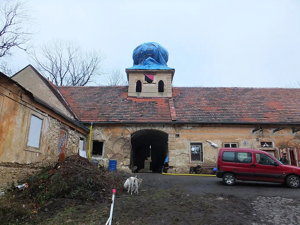 Cibulka