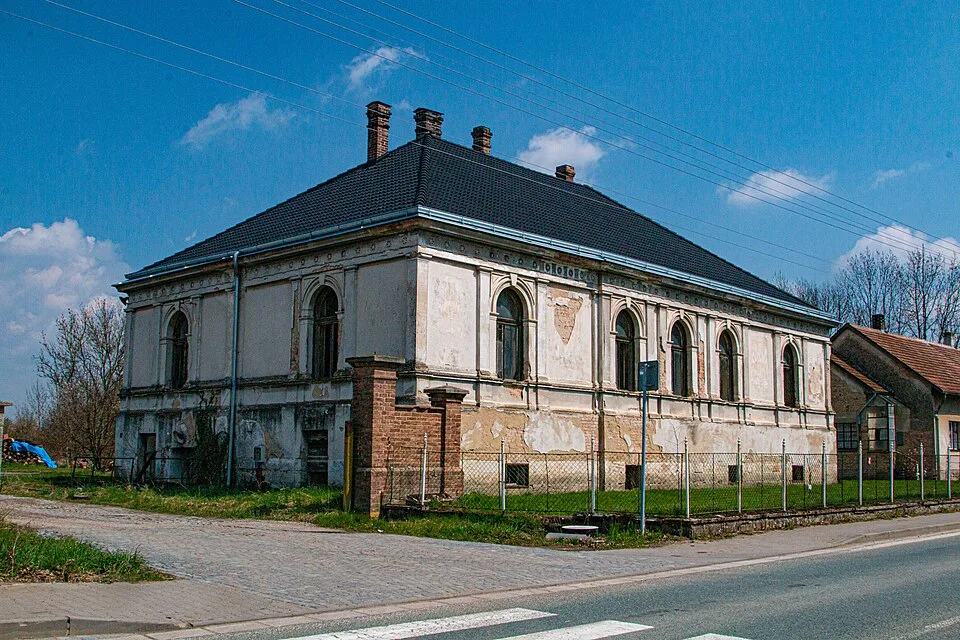 Litětiny