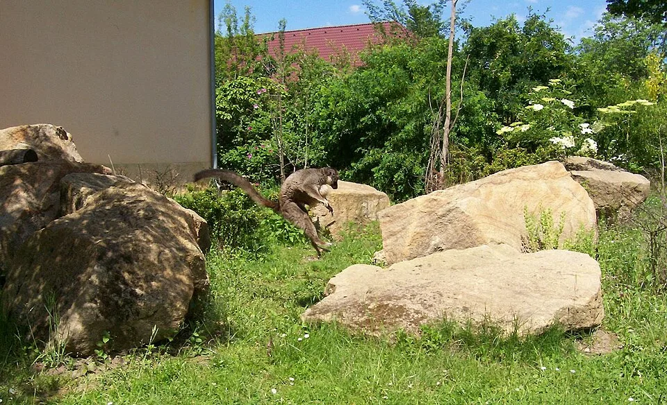 Zoologická a botanická zahrada města Plzně