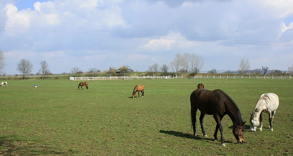 Zoopark Zelčín