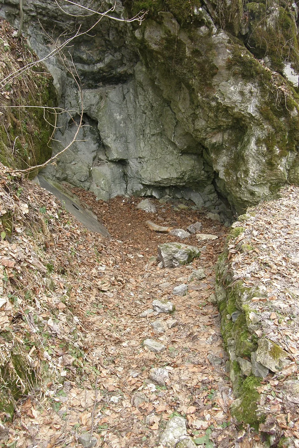 Kanibalka