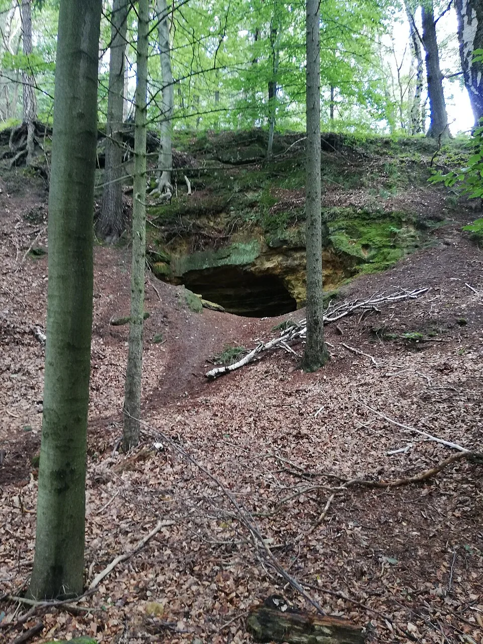 Lipka