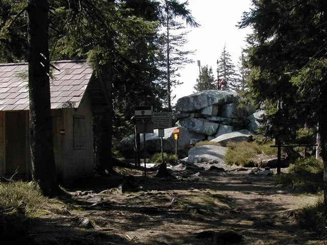 Plechý