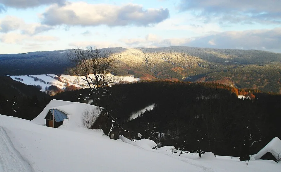 Dvorský les