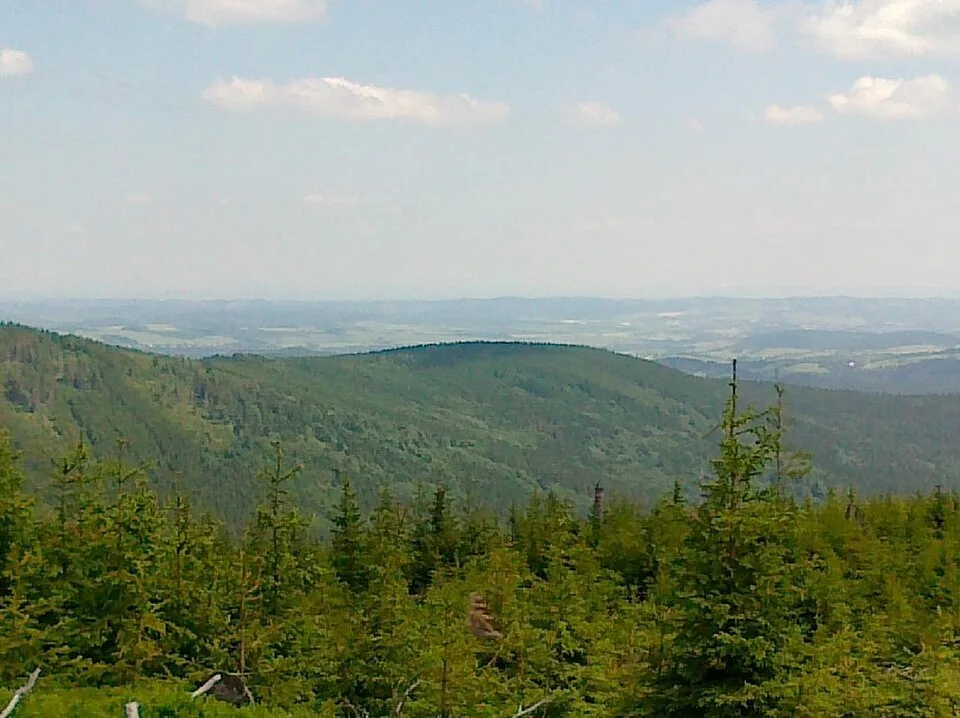 Kopřivná