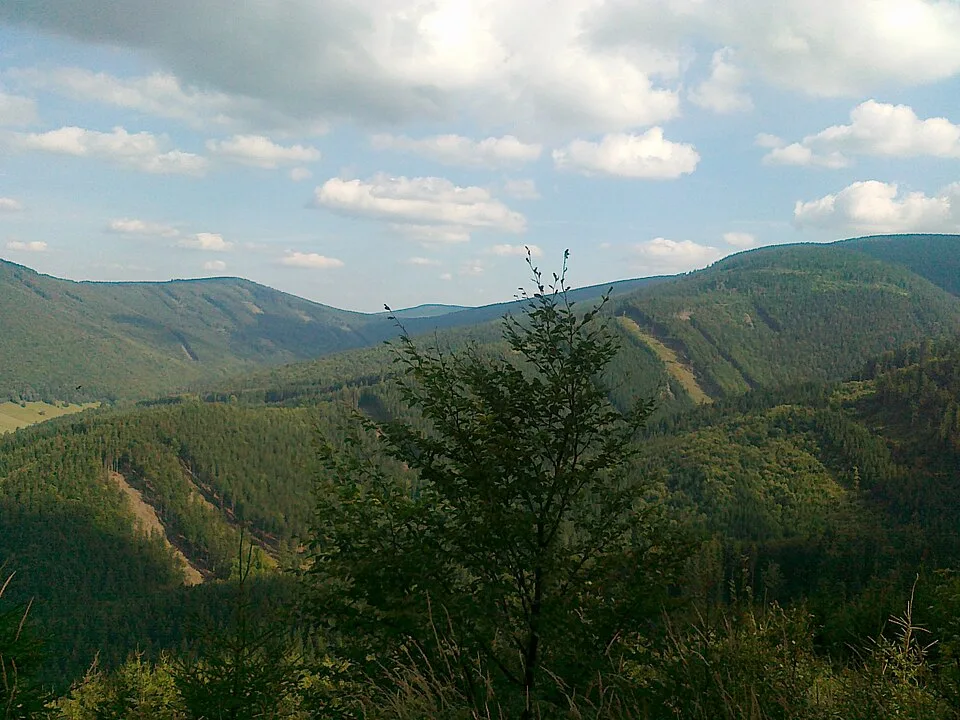 Javorový vrch