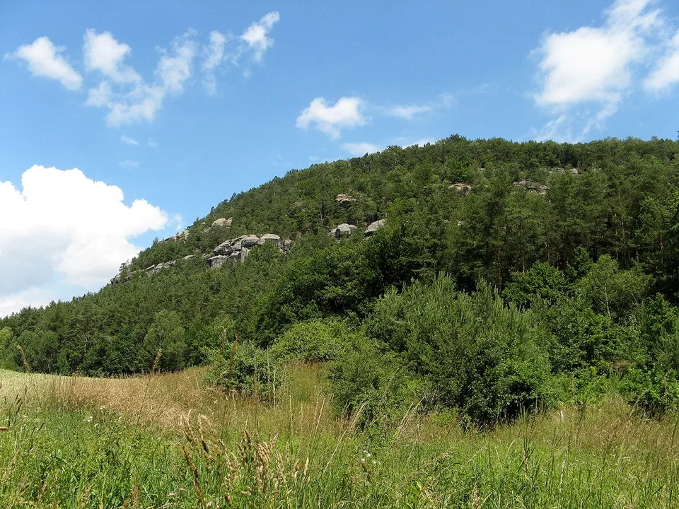 Vlhošť