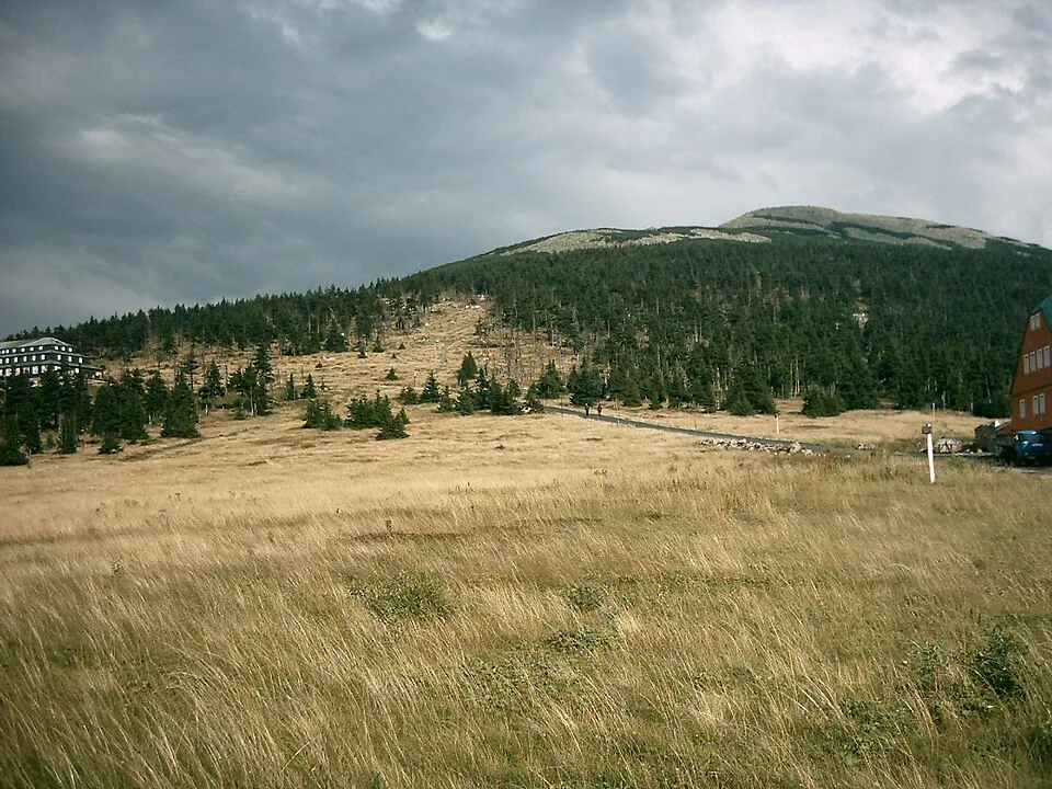 Stříbrný hřbet