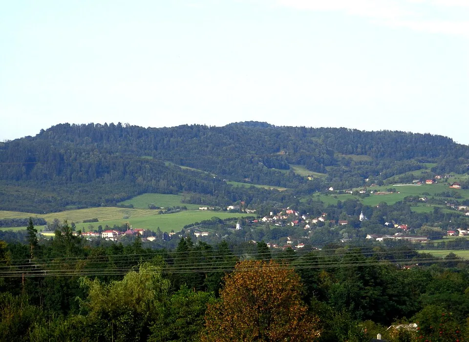 Vružná