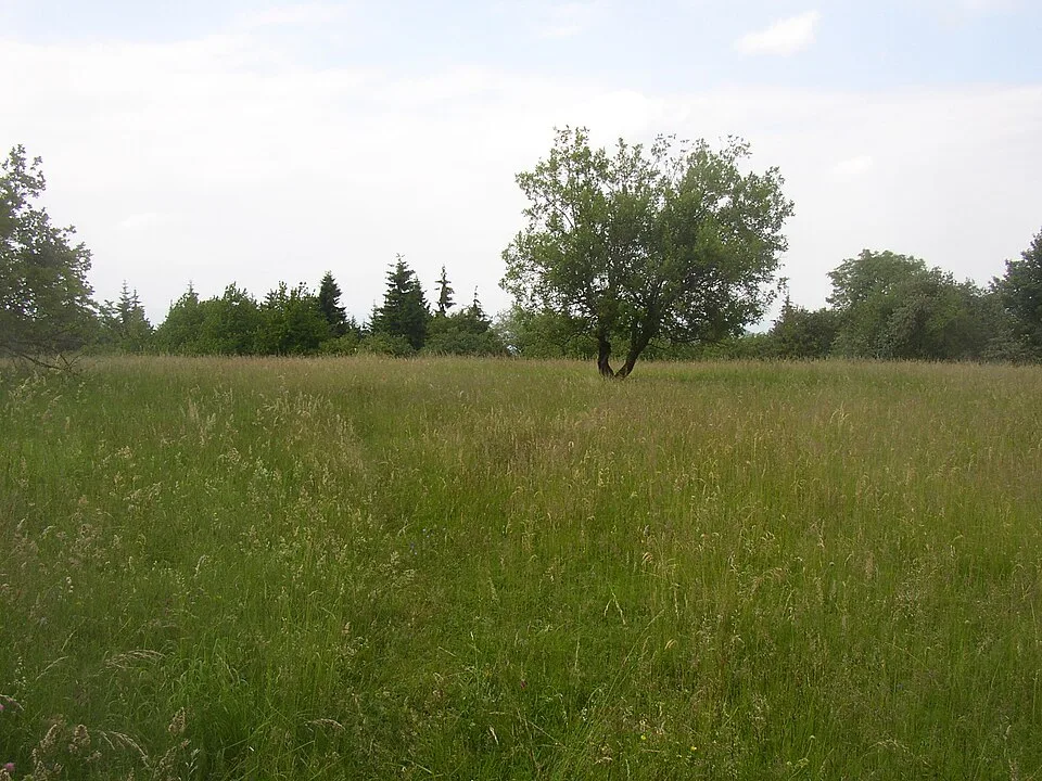 Hradišťany