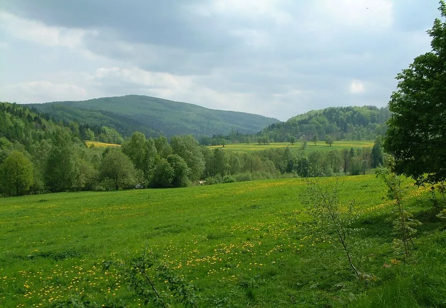 Pěnkavčí vrch