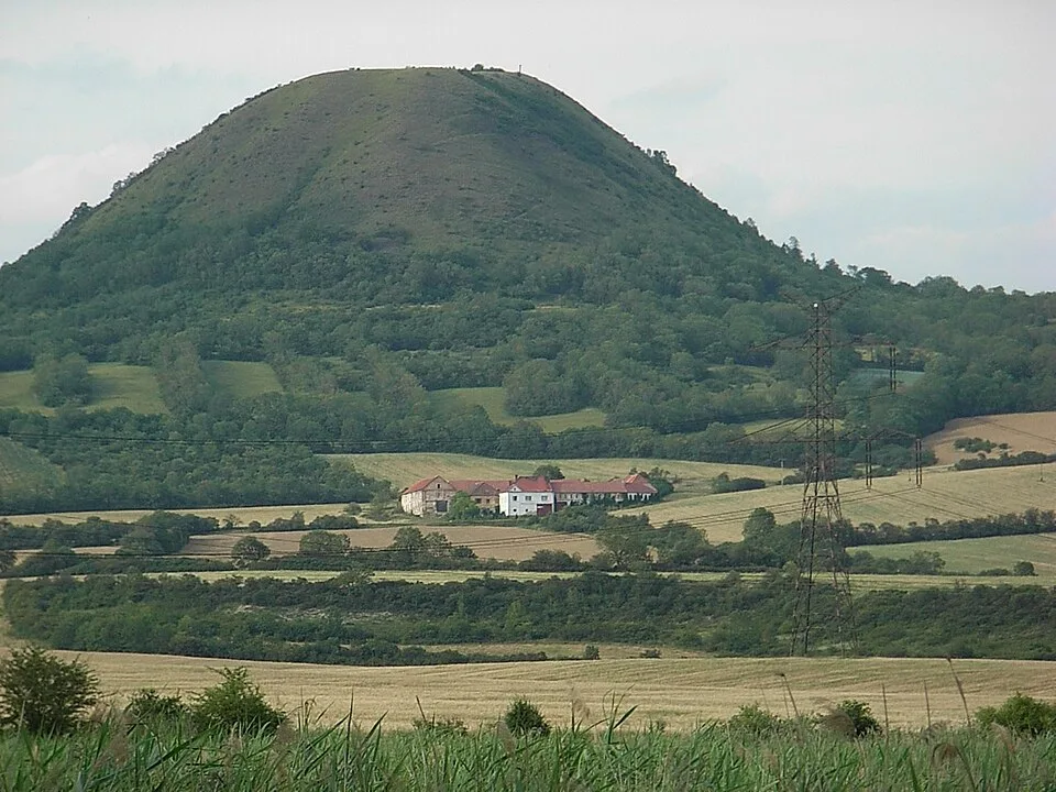 Oblík