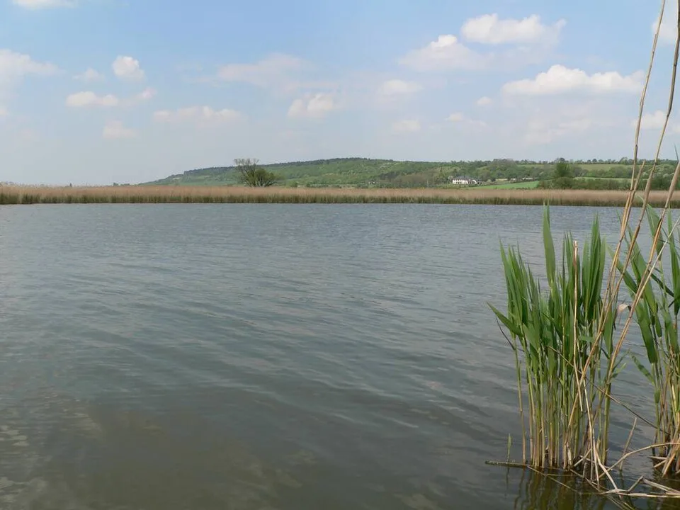 Báň