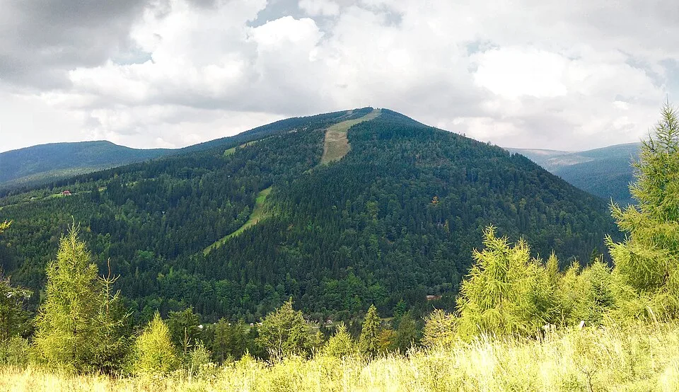 Медведін