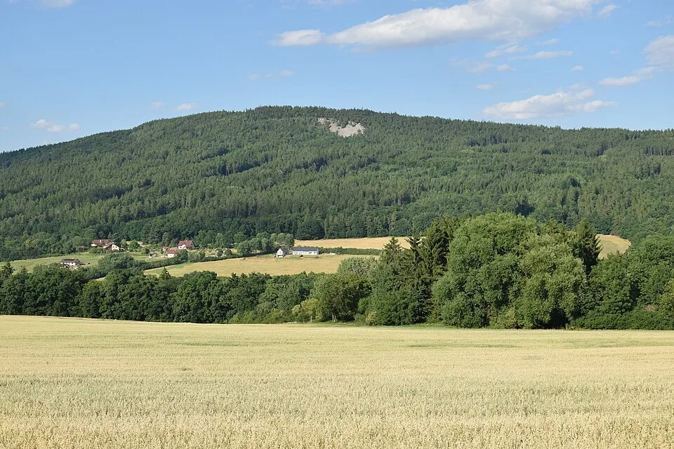 Plešivec