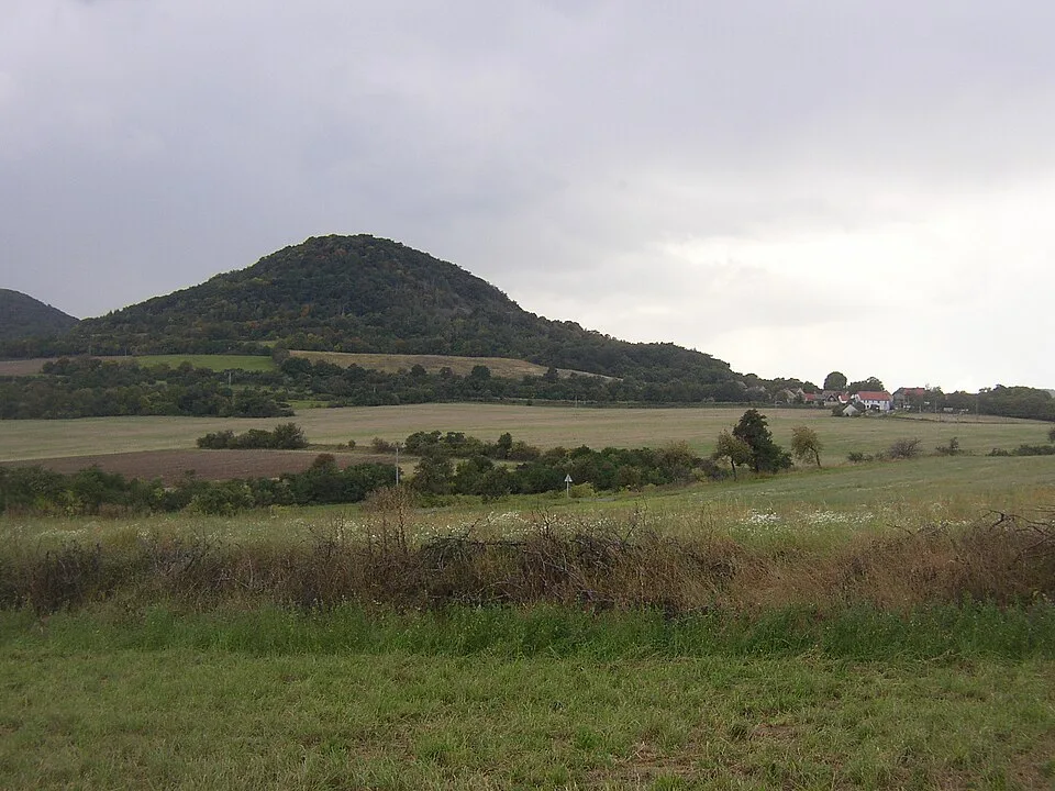 Boreč