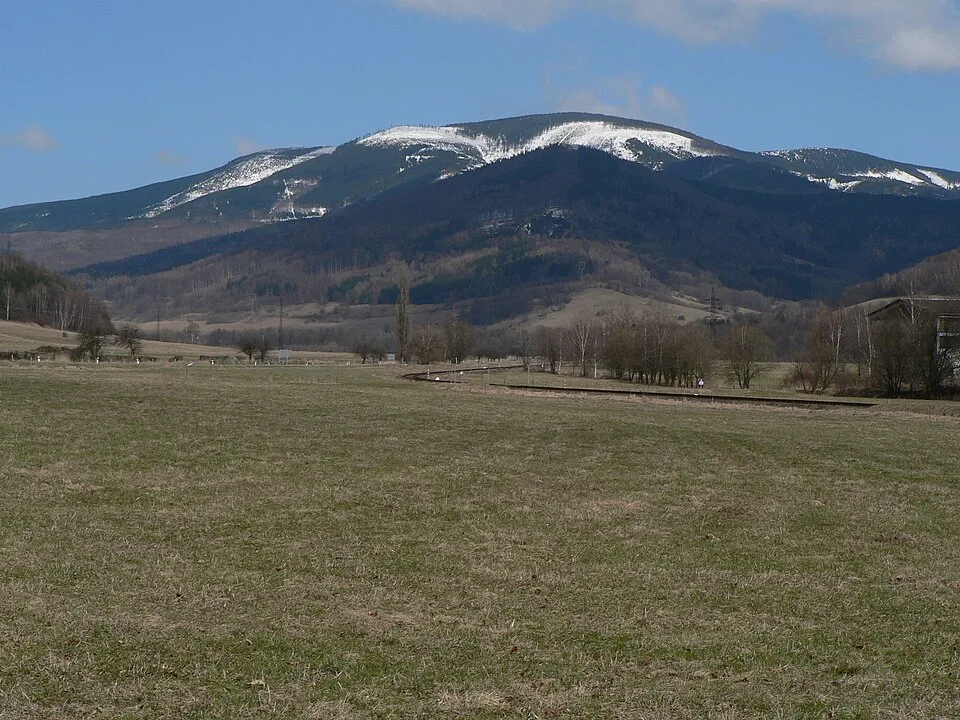 Mravenečník