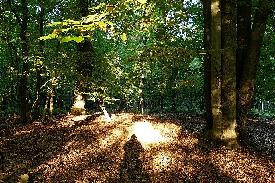 Rokytská horka