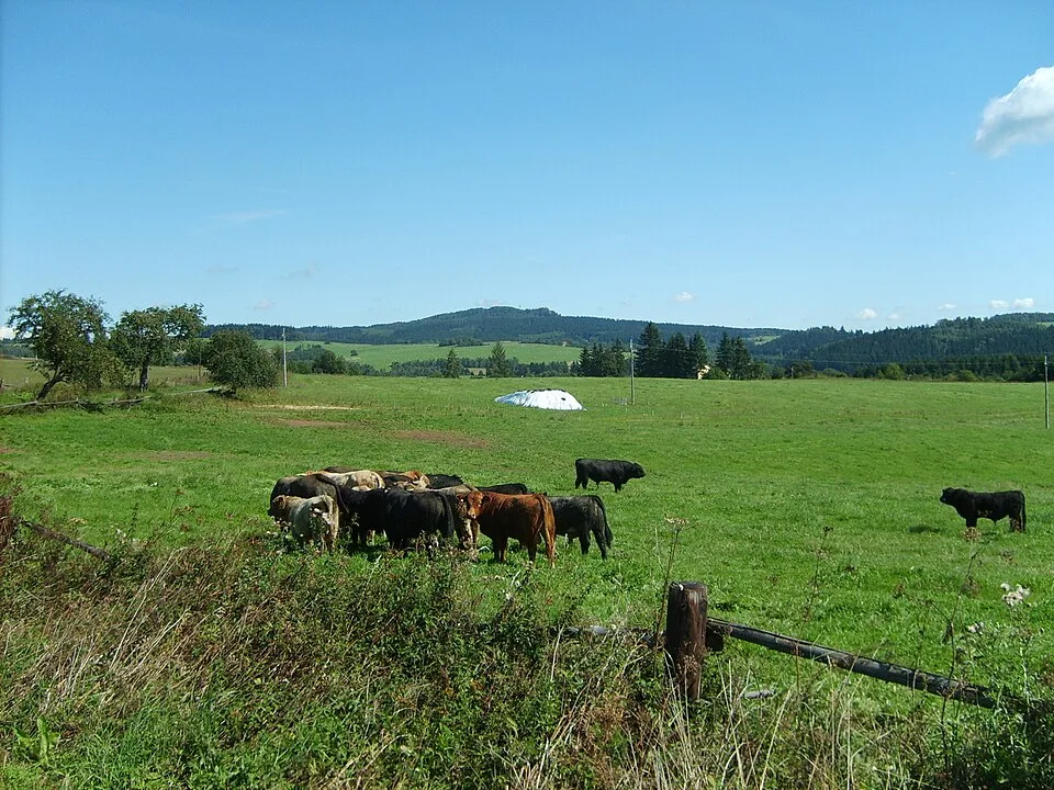 Podhorní vrch