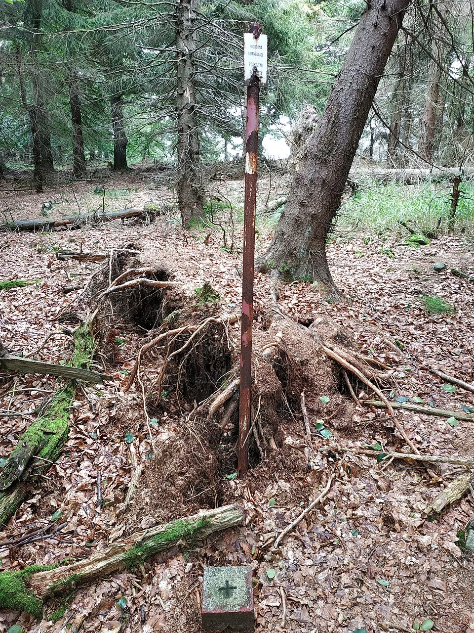 Großer Eibenberg
