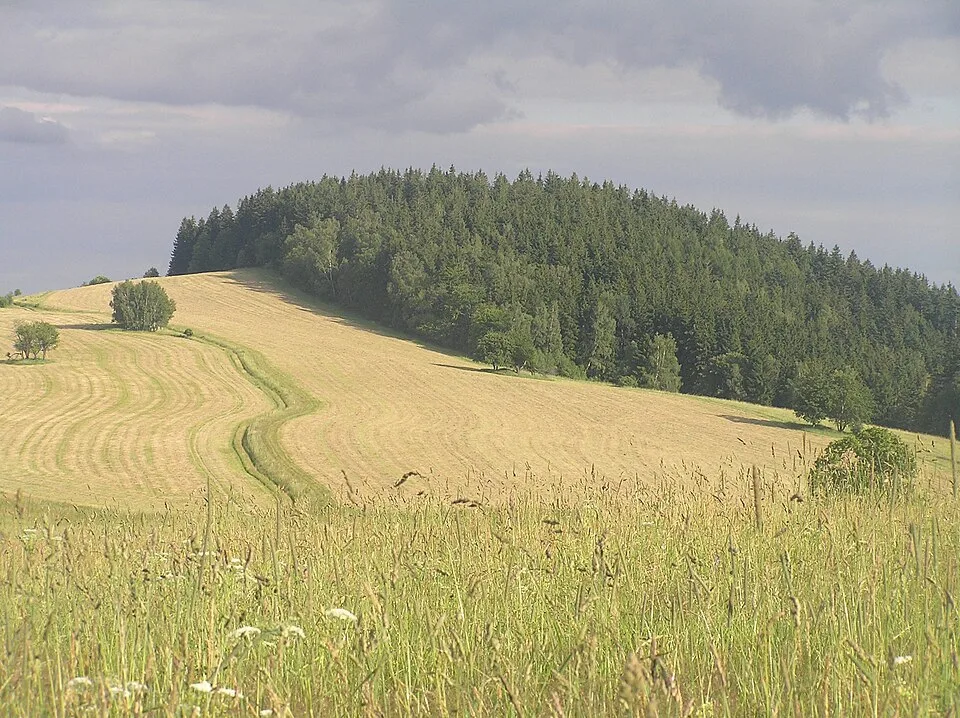 Větrovec