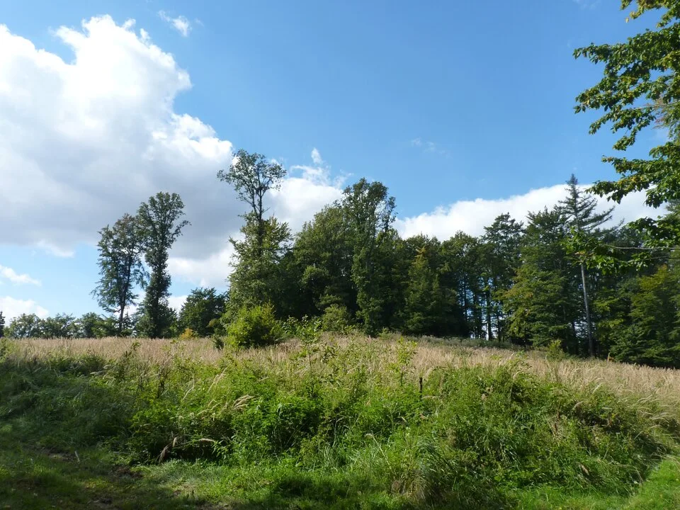 Kopeček